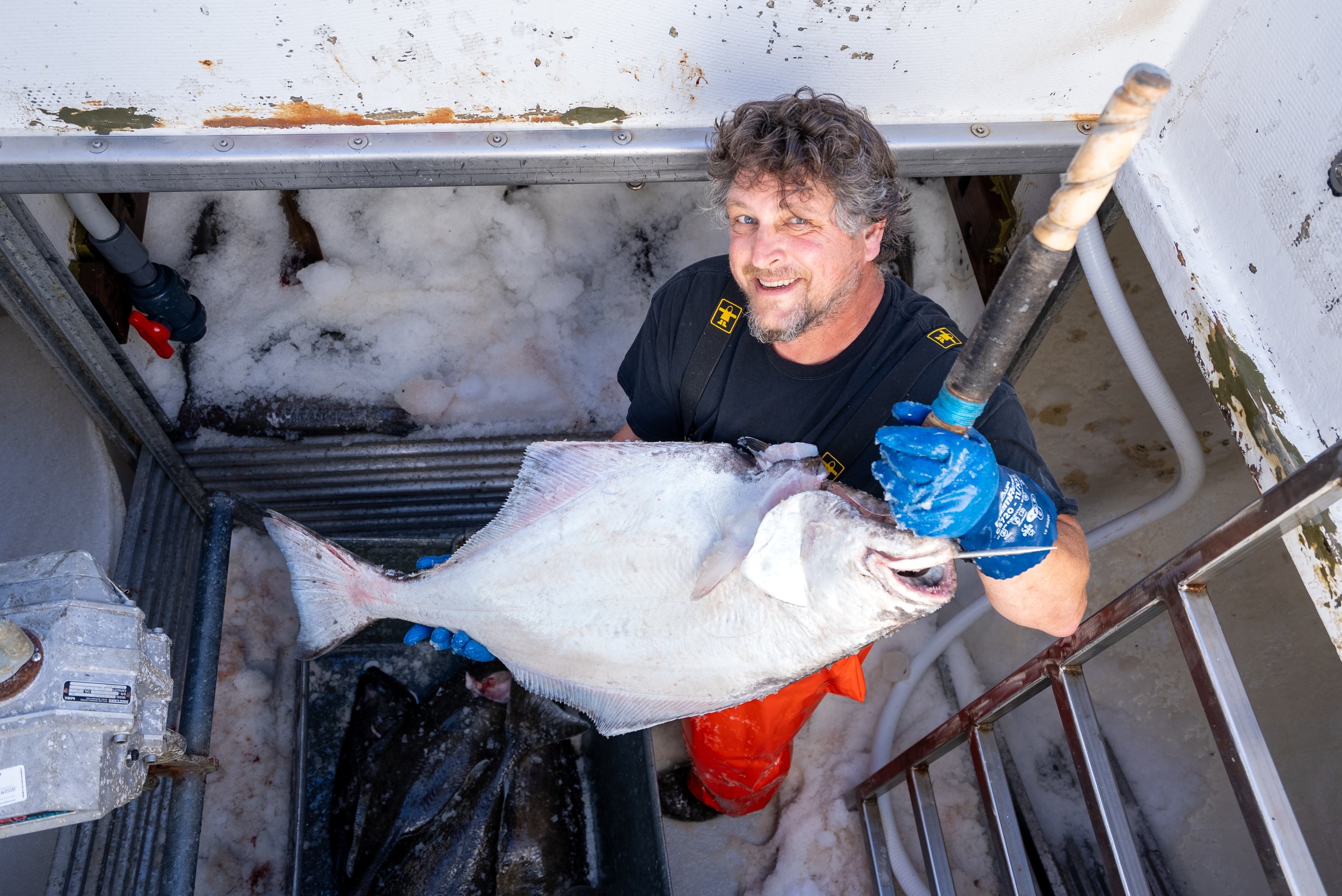 The Fish Market — Local Ocean